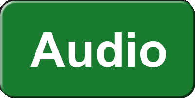 Audio Button